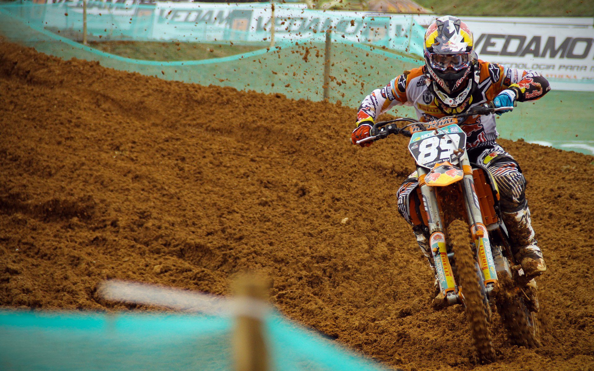 世界杯评选最佳球迷城市 与欧冠举办地形成呼应